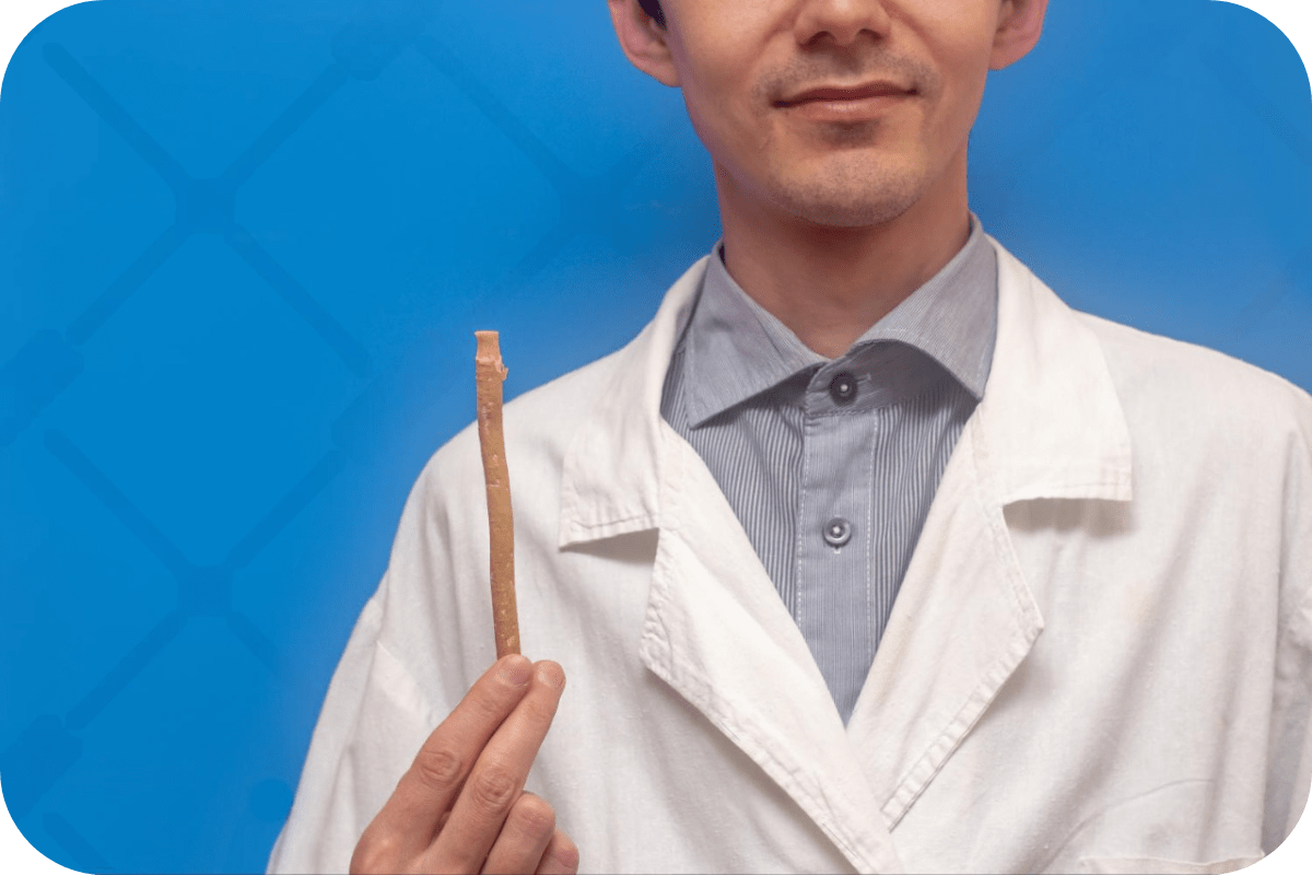 a young doctor holding miswak stick