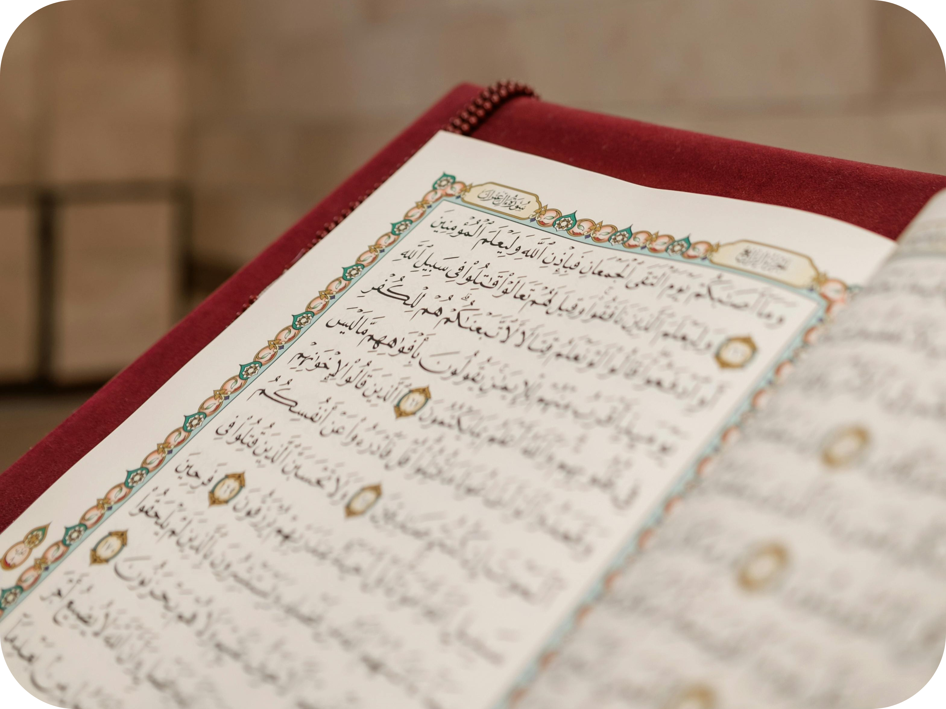 The Holy Quran