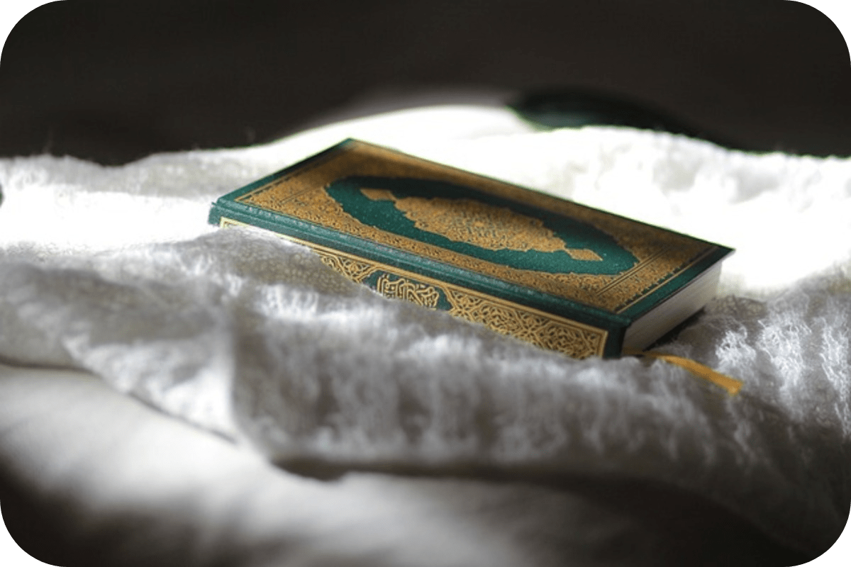 The Holy Quran