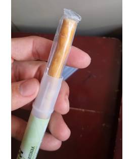 Islamic gifts  Miswak with holder - Sunnah - Natural Islamic Toothbrush - Miswak Stick - Sunnah Oral Care - Islamic Oral Care - Organic Miswak - Islamic Essentials - Hajj or Umrah Gifts - Islamic Gifts at Riwaya